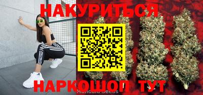 прущие грибы Будённовск