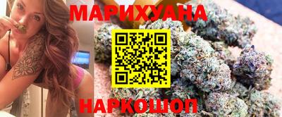прущие грибы Будённовск