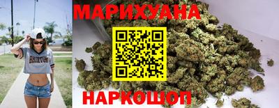 прущие грибы Будённовск